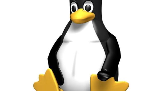 Which Linux distro do you use?