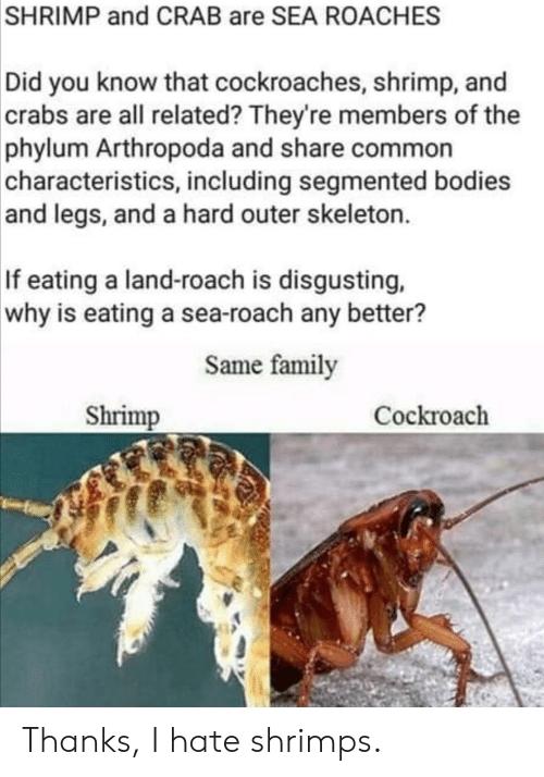 People who eat shrimp are gross, agree?