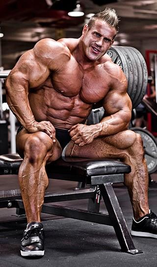 Which physique do you prefer?