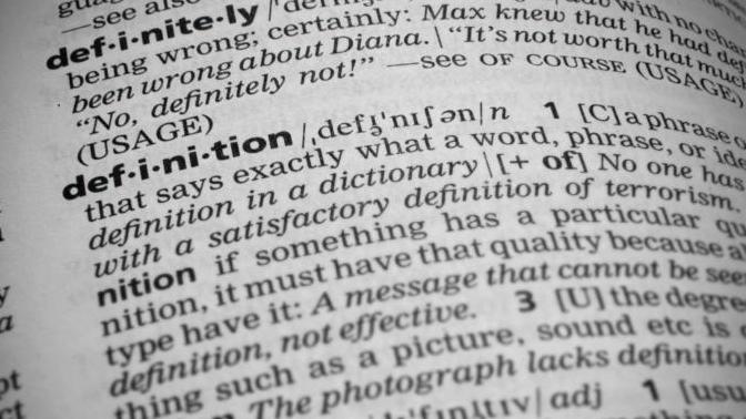 When using words with multiple meaning, which takes precedent: academic construction or social expression?