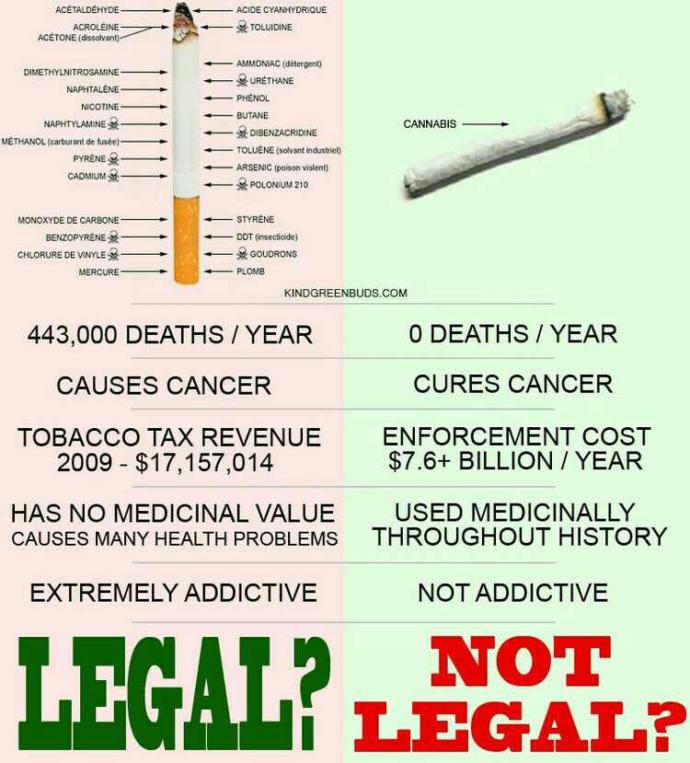 Do you think that after a few years marijuana becomes fully legal? have you tried it? If you havent tried it why havent you? are u for or against?