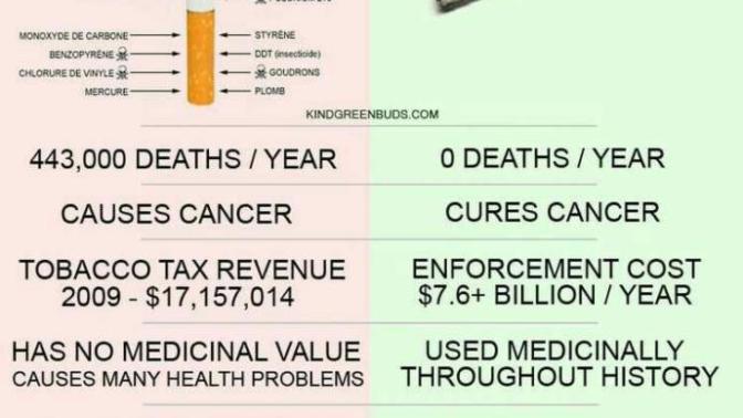 Do you think that after a few years marijuana becomes fully legal? have you tried it? If you haven't tried it why haven't you? are u for or against?
