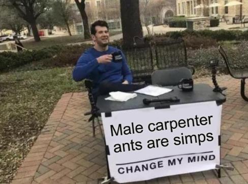 What are your thoughts on this?