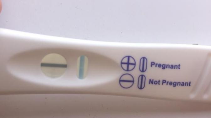 Pregnant or evap line?