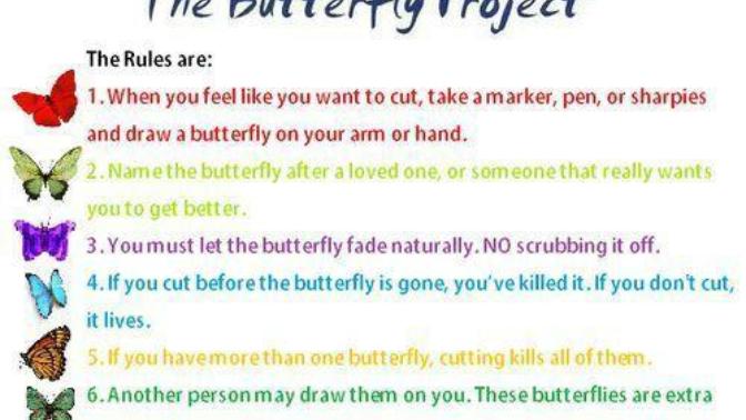 Has anyone heard of the butterfly project?