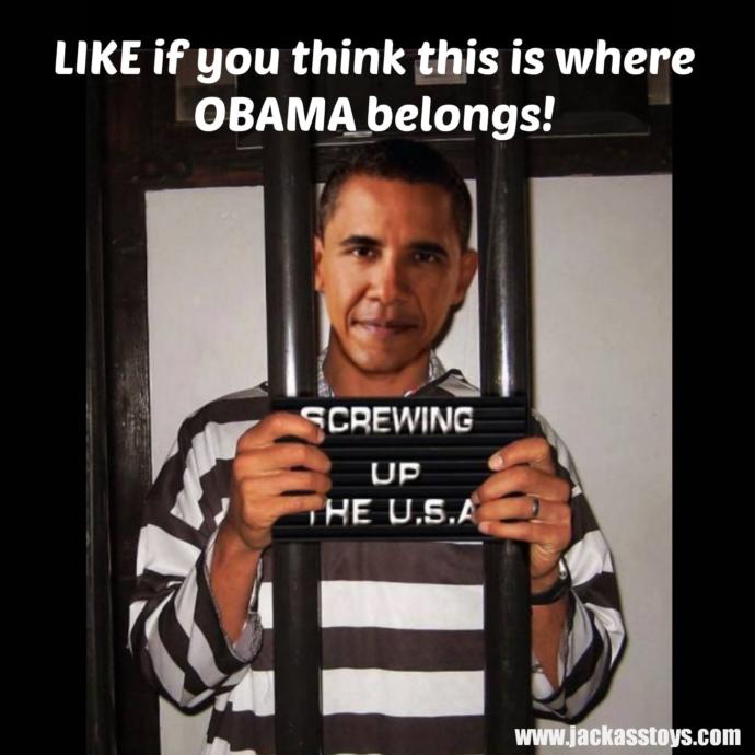 Should Barack Obama be put to jail?
