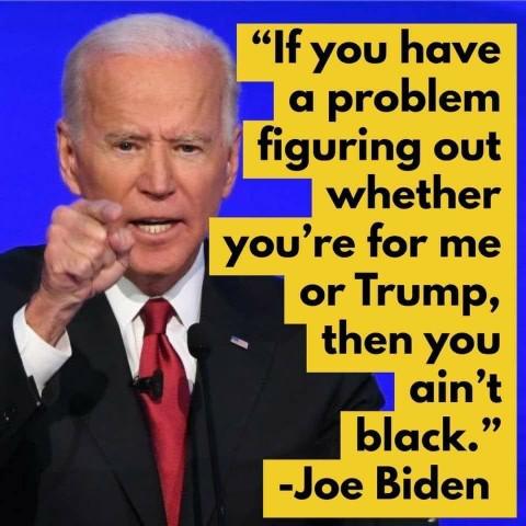 Do you think African-Americans should stop supporting the Democrat party, especially after what Joe Biden said about them?