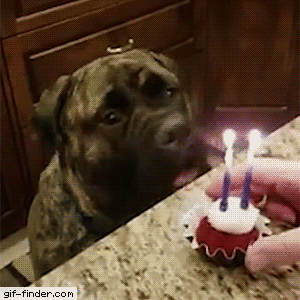 It’s my 31st Birthday today and I feel so sad :( how can I cheer myself up?