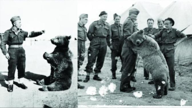 What are your thoughts on these WW2 photos?