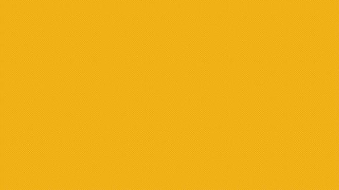 What’s Your Favorite Color?