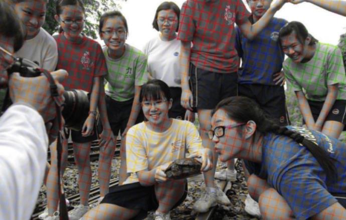 What colors do you see in this photo?