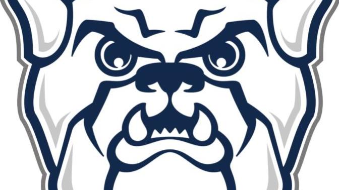Which of these 7 teams from the ACC, SEC or Big East that is nicknamed Bulldogs or Tigers do you think has the best logo?