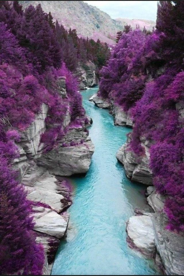 Whats your favorite aspect of nature and why? (this has a point!)?