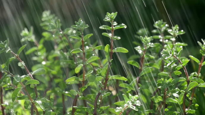 What's your favorite aspect of nature and why? (this has a point!)?
