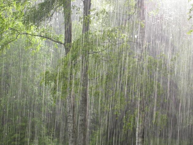 What's your favorite aspect of nature and why? (this has a point!)?