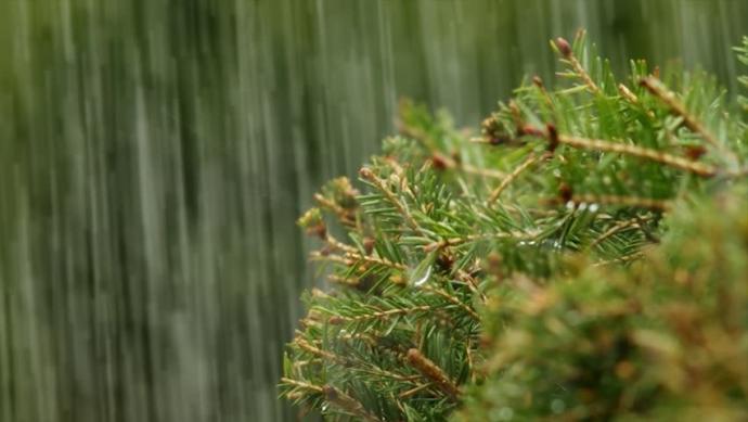 What's your favorite aspect of nature and why? (this has a point!)?
