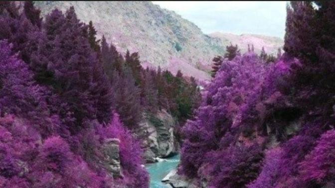 What's your favorite aspect of nature and why? (this has a point!)?
