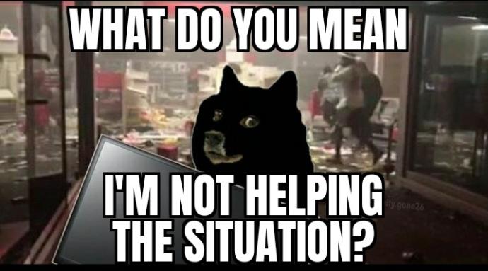Why when Americans riot they attack other Americans and their businesses?