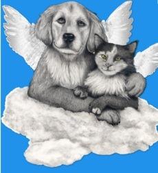 Is animal afterlife distinguished from human afterlife and do all plants and bugs go to Heaven?