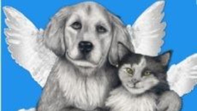 Is animal afterlife distinguished from human afterlife and do all plants and bugs go to Heaven?