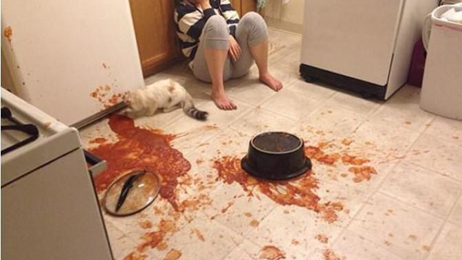 Have you ever dropped a meal you spend hours making?
