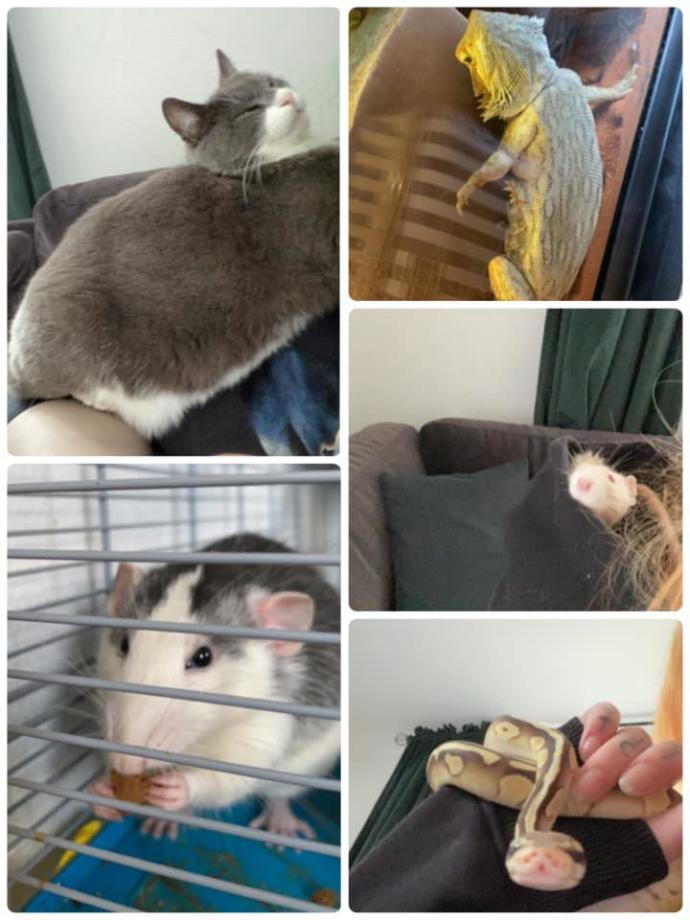 Her babies