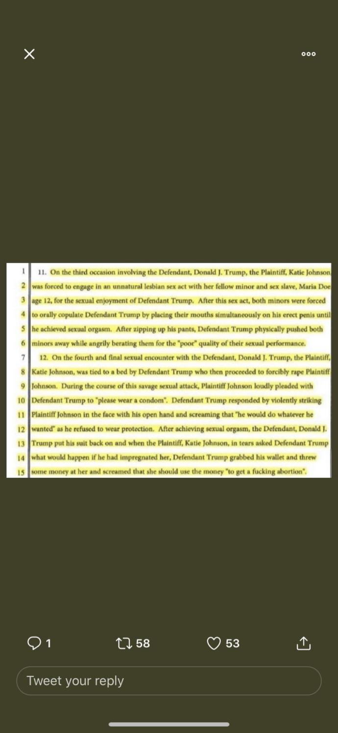 Leaked documents expose that trump raped several minors and was involved with Epstein. Thought?