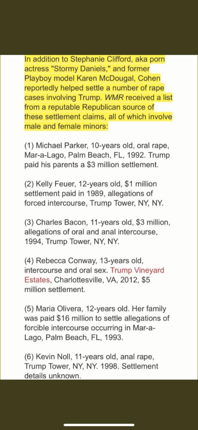 Leaked documents expose that trump raped several minors and was involved with Epstein. Thought?