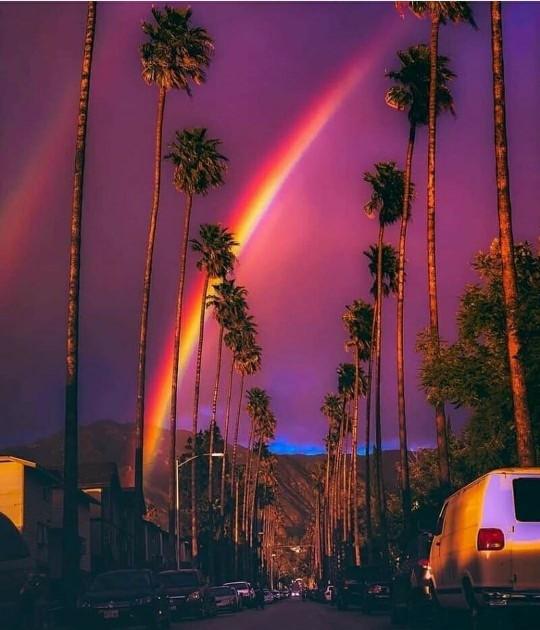 My perfect day would start with _____ and end with _____?