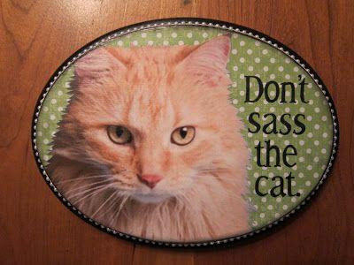 Is sass a feminine trait? Girls what do you think about a sassy man?