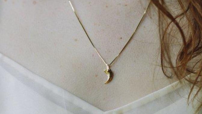 Men, what do you think of women who wear these kinds of claw necklaces?