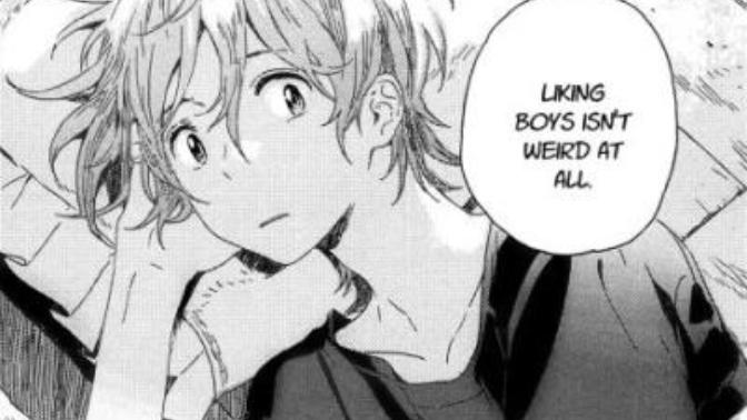 Yaoi, do you like it?