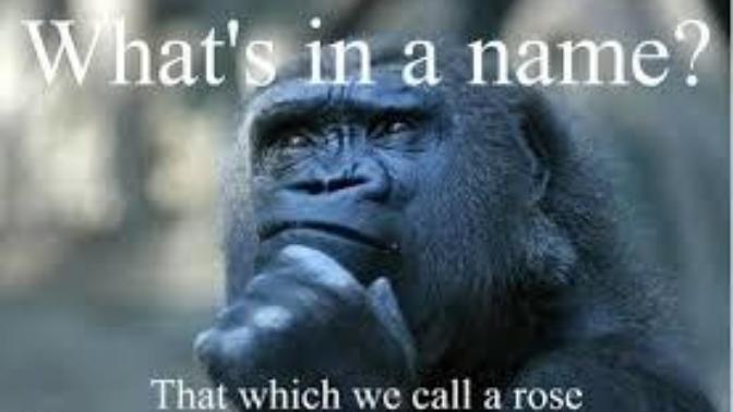 Guys, how important is it that you have a say in naming your kid?