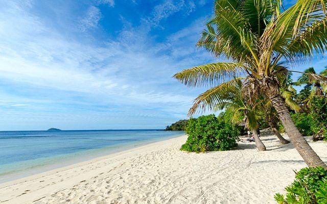 If you were trapped on a desert island with a celebrity of your choice, who would it be?