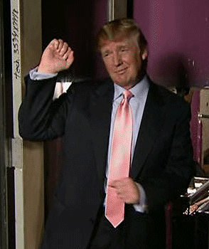 Your thoughts on dumb, fat-ass trump, holding a random Bible upside down and how amazingly wonderful, he must feel in making "America Great Again"?