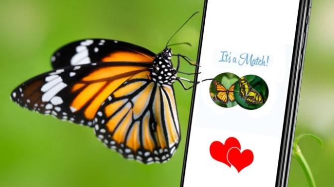 For those in long term relationships (2+ years), do you still feel butterflies for your partner?