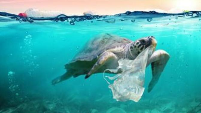 How do you get rid of plastic? Or better way to recycle?