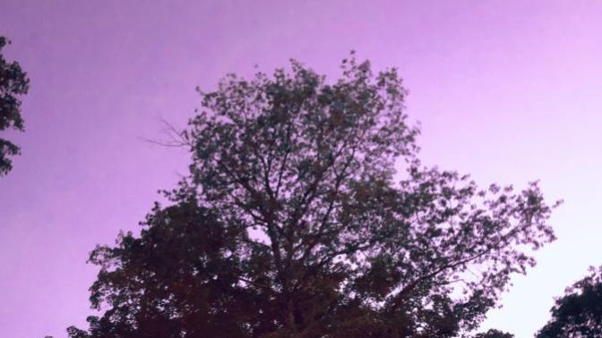 You are newly elected member of a community elected PEACE COUNCIL : What is your community proposal , to protect and keep the peace in a humane way?