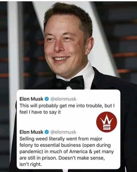 What are your thoughts on Elon Musks comments about weed?