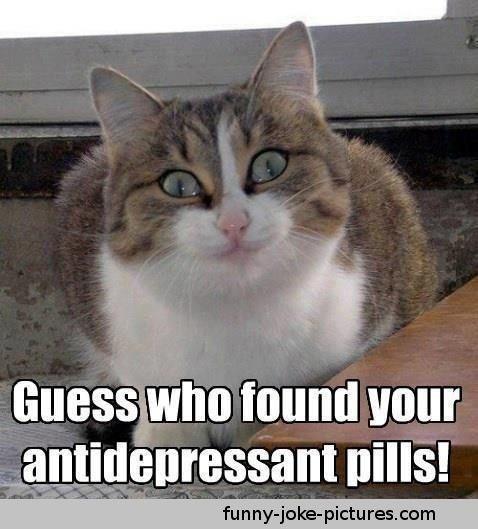 Are you on anti depressants?
