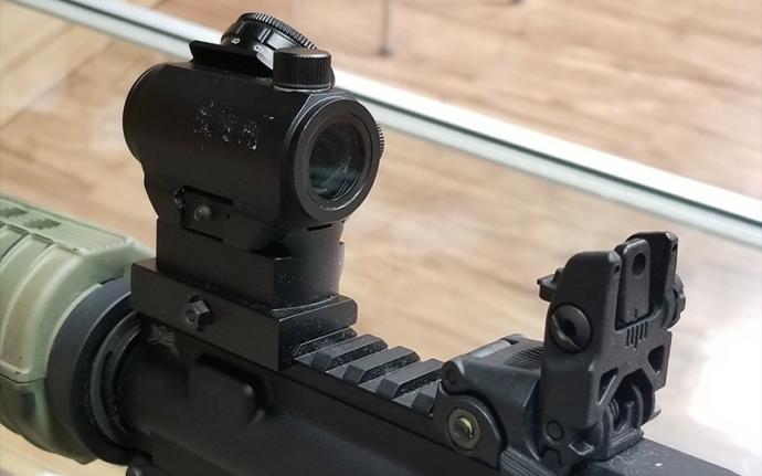 Optics or iron sights?