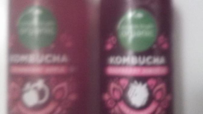 What is your favorite flavor of Kombucha?