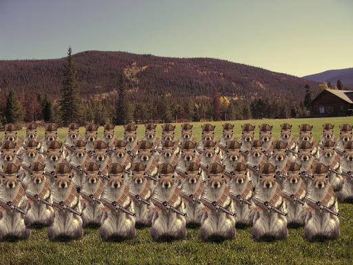 From a Super Villain perspective which would be scarier to unleash a Squirrel Army or a Raccoon Army?