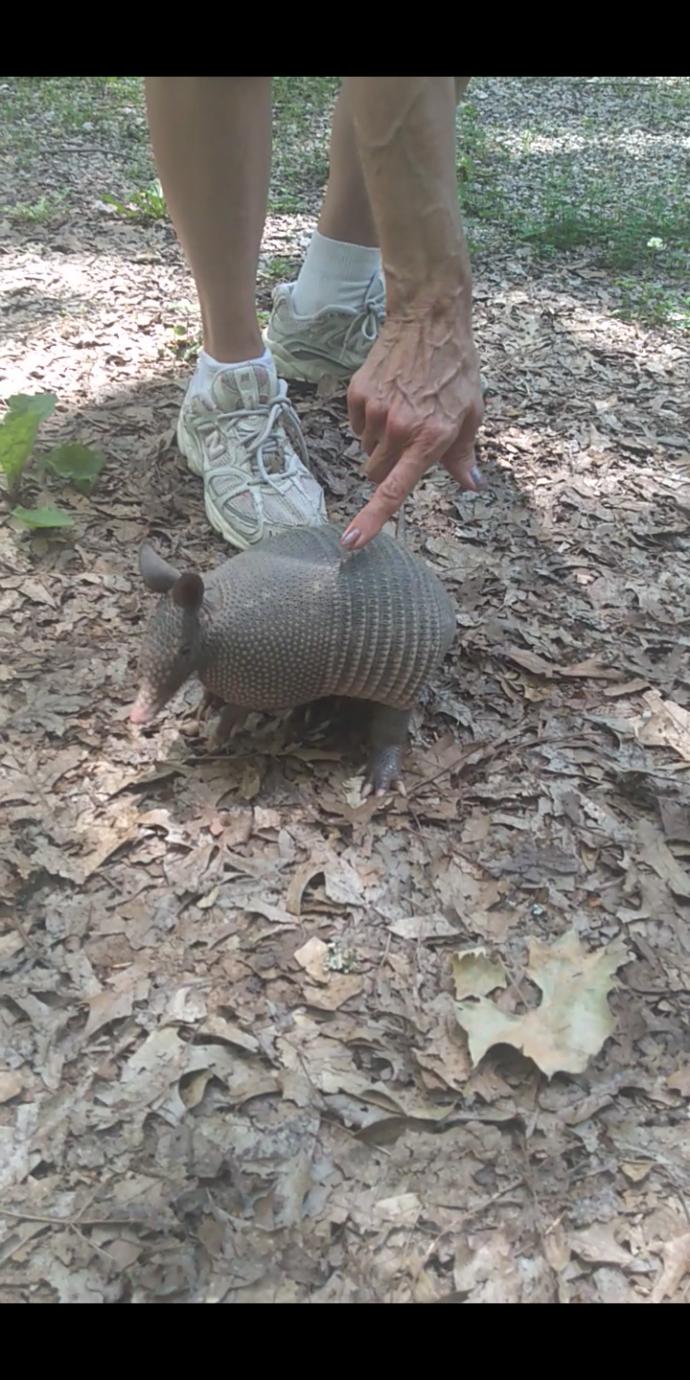 From a Super Villain perspective which would be scarier to unleash a Squirrel Army or a Raccoon Army?