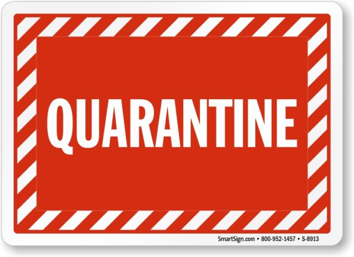What do you do most of the time during the quarantine period?