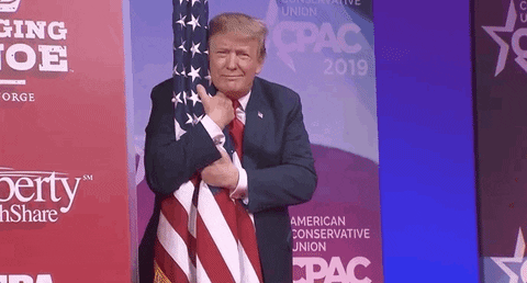 Why do racists & other trump supporters honor the confederate flag, when that flag represents them getting their asses beat like an inbred stepchild?
