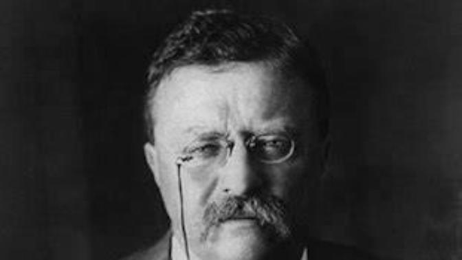 It AMAZES ME that anyone in the United States can disagree with these great words from Teddy Roosevelt? Do you?