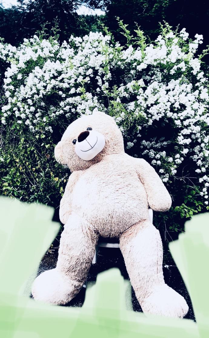 #Farmers & #Wildlifeexperts : What are the chances this bear will scare off actual predators~~ OR should I just go ahead and give it to Bella?