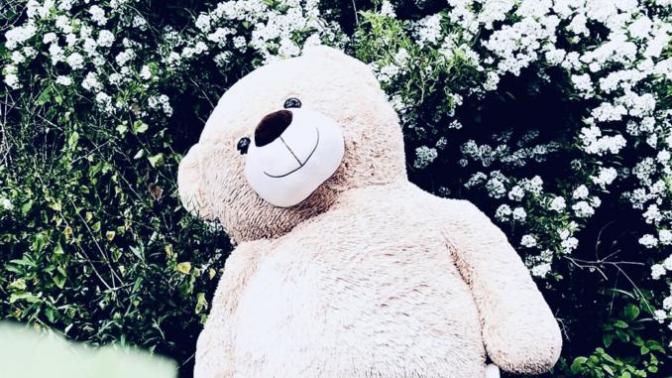 #Farmers & #Wildlifeexperts : What are the chances this bear will scare off actual predators~~ OR should I just go ahead and give it to Bella?