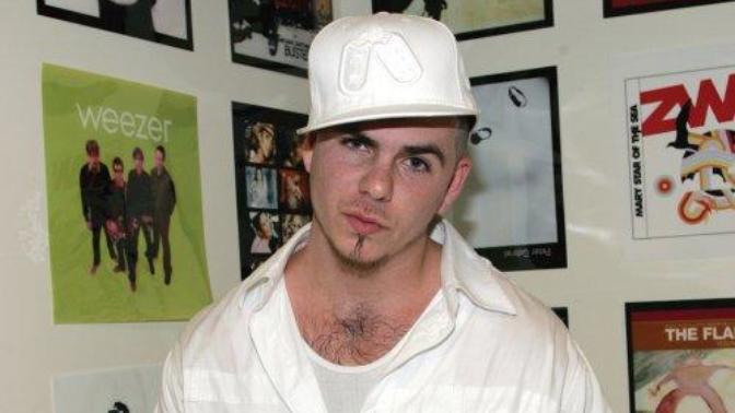 What do y'all think about pitbull (the rapper)?